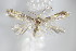  (Trifurcula moravica - BC ZSM Lep 70706)  @13 [ ] Unspecified (default): All Rights Reserved  Unspecified Unspecified