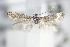  ( - BC ZSM Lep 70753)  @13 [ ] Unspecified (default): All Rights Reserved  Unspecified Unspecified