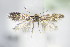  ( - BC ZSM Lep 70768)  @12 [ ] Unspecified (default): All Rights Reserved  Unspecified Unspecified
