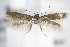  ( - BC ZSM Lep 70771)  @12 [ ] Unspecified (default): All Rights Reserved  Unspecified Unspecified