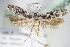  ( - BC ZSM Lep 70904)  @14 [ ] Unspecified (default): All Rights Reserved  Unspecified Unspecified