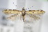  ( - BC ZSM Lep 70859)  @11 [ ] Unspecified (default): All Rights Reserved  Unspecified Unspecified
