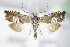  ( - BC ZSM Lep 71194)  @12 [ ] Unspecified (default): All Rights Reserved  Unspecified Unspecified