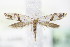  ( - BC ZSM Lep 72024)  @11 [ ] Unspecified (default): All Rights Reserved  Unspecified Unspecified