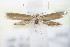  ( - BC ZSM Lep 72026)  @11 [ ] Unspecified (default): All Rights Reserved  Unspecified Unspecified