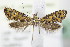  ( - BC ZSM Lep 72030)  @11 [ ] Unspecified (default): All Rights Reserved  Unspecified Unspecified