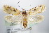  ( - BC ZSM Lep 72187)  @14 [ ] Unspecified (default): All Rights Reserved  Unspecified Unspecified