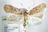  ( - BC ZSM Lep 72191)  @14 [ ] Unspecified (default): All Rights Reserved  Unspecified Unspecified