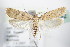  ( - BC ZSM Lep 72192)  @14 [ ] Unspecified (default): All Rights Reserved  Unspecified Unspecified