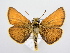  ( - BC ZSM Lep 72217)  @15 [ ] Unspecified (default): All Rights Reserved  Unspecified Unspecified