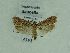  ( - BC ZSM Lep 70540)  @11 [ ] Unspecified (default): All Rights Reserved  Unspecified Unspecified