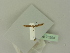  ( - BC ZSM Lep 76204)  @11 [ ] Unspecified (default): All Rights Reserved  Unspecified Unspecified