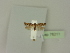  ( - BC ZSM Lep 76211)  @11 [ ] Unspecified (default): All Rights Reserved  Unspecified Unspecified