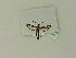  ( - BC ZSM Lep 76242)  @11 [ ] Unspecified (default): All Rights Reserved  Unspecified Unspecified
