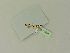  ( - BC ZSM Lep 76265)  @11 [ ] Unspecified (default): All Rights Reserved  Unspecified Unspecified