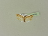  ( - BC ZSM Lep 76322)  @14 [ ] Unspecified (default): All Rights Reserved  Unspecified Unspecified