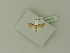  ( - BC ZSM Lep 76325)  @11 [ ] Unspecified (default): All Rights Reserved  Unspecified Unspecified