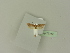  ( - BC ZSM Lep 76340)  @12 [ ] Unspecified (default): All Rights Reserved  Unspecified Unspecified