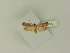  ( - BC ZSM Lep 76342)  @12 [ ] Unspecified (default): All Rights Reserved  Unspecified Unspecified