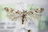  ( - BC ZSM Lep 75950)  @14 [ ] Unspecified (default): All Rights Reserved  Unspecified Unspecified