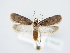  ( - BC ZSM Lep 78928)  @14 [ ] Unspecified (default): All Rights Reserved  Unspecified Unspecified