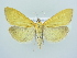  ( - BC ZSM Lep 79034)  @11 [ ] Unspecified (default): All Rights Reserved  Unspecified Unspecified
