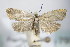  ( - BC ZSM Lep 79318)  @13 [ ] Unspecified (default): All Rights Reserved  Unspecified Unspecified