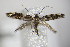  ( - BC ZSM Lep 79338)  @13 [ ] Unspecified (default): All Rights Reserved  Unspecified Unspecified