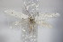  ( - BC ZSM Lep 79341)  @11 [ ] Unspecified (default): All Rights Reserved  Unspecified Unspecified
