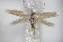  ( - BC ZSM Lep 79360)  @12 [ ] Unspecified (default): All Rights Reserved  Unspecified Unspecified