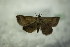  ( - BC ZSM Lep 77199)  @13 [ ] Unspecified (default): All Rights Reserved  Unspecified Unspecified