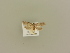  ( - BC ZSM Lep 85601)  @11 [ ] Unspecified (default): All Rights Reserved  Unspecified Unspecified