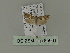  ( - BC ZSM Lep 85661)  @12 [ ] CreativeCommons - Attribution Non-Commercial Share-Alike (2015) Unspecified SNSB, Zoologische Staatssammlung Muenchen