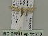  ( - BC ZSM Lep 85673)  @12 [ ] CreativeCommons - Attribution Non-Commercial Share-Alike (2015) Unspecified SNSB, Zoologische Staatssammlung Muenchen