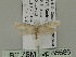  ( - BC ZSM Lep 85686)  @13 [ ] CreativeCommons - Attribution Non-Commercial Share-Alike (2015) Unspecified SNSB, Zoologische Staatssammlung Muenchen