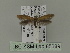  ( - BC ZSM Lep 85689)  @12 [ ] CreativeCommons - Attribution Non-Commercial Share-Alike (2015) Unspecified SNSB, Zoologische Staatssammlung Muenchen