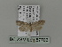  (Cnephasia genitalana - BC ZSM Lep 87703)  @14 [ ] CreativeCommons - Attribution Non-Commercial Share-Alike (2015) Unspecified SNSB, Zoologische Staatssammlung Muenchen