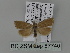  ( - BC ZSM Lep 87740)  @12 [ ] CreativeCommons - Attribution Non-Commercial Share-Alike (2015) Unspecified SNSB, Zoologische Staatssammlung Muenchen