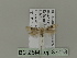  ( - BC ZSM Lep 87758)  @12 [ ] CreativeCommons - Attribution Non-Commercial Share-Alike (2015) Unspecified SNSB, Zoologische Staatssammlung Muenchen