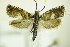  ( - BC ZSM Lep 87813)  @14 [ ] Unspecified (default): All Rights Reserved  Unspecified Unspecified