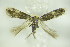  ( - BC ZSM Lep 89178)  @12 [ ] Unspecified (default): All Rights Reserved  Unspecified Unspecified