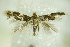  ( - BC ZSM Lep 89194)  @13 [ ] Unspecified (default): All Rights Reserved  Unspecified Unspecified