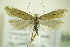  ( - BC ZSM Lep 89298)  @13 [ ] Unspecified (default): All Rights Reserved  Unspecified Unspecified