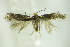  ( - BC ZSM Lep 89351)  @12 [ ] CreativeCommons - Attribution Non-Commercial Share-Alike (2015) Unspecified SNSB, Zoologische Staatssammlung Muenchen