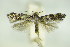  ( - BC ZSM Lep 89396)  @13 [ ] Unspecified (default): All Rights Reserved  Unspecified Unspecified