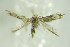  ( - BC ZSM Lep 89434)  @12 [ ] Unspecified (default): All Rights Reserved  Unspecified Unspecified