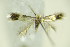  ( - BC ZSM Lep 89445)  @12 [ ] Unspecified (default): All Rights Reserved  Unspecified Unspecified