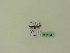  ( - BC ZSM Lep 95195)  @11 [ ] CreativeCommons - Attribution Non-Commercial Share-Alike (2016) SNSB, Staatliche Naturwissenschaftliche Sammlungen Bayerns ZSM (SNSB, Zoologische Staatssammlung Muenchen)