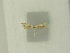 ( - BC ZSM Lep 84005)  @12 [ ] CreativeCommons - Attribution Non-Commercial Share-Alike (2016) SNSB, Staatliche Naturwissenschaftliche Sammlungen Bayerns ZSM (SNSB, Zoologische Staatssammlung Muenchen)