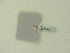  ( - BC ZSM Lep 87937)  @12 [ ] CreativeCommons - Attribution Non-Commercial Share-Alike (2016) SNSB, Staatliche Naturwissenschaftliche Sammlungen Bayerns ZSM (SNSB, Zoologische Staatssammlung Muenchen)